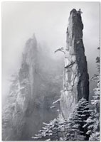 Dr. Leping Zha, photograph