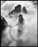 Dr. Leping Zha, photograph