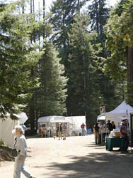 Fine Arts Fair