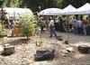 Gualala Arts: Fine Arts Fair