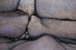 Studio Discovery Tour artist: Dwight Eberly