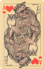 playing cards