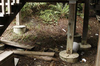 Gualala Arts Center Beautification Days