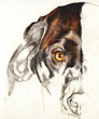 Painting with Colored Pencils, with Barbara Krans Jenkins
