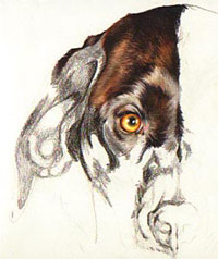 Painting with Colored Pencils, with Barbara Krans Jenkins