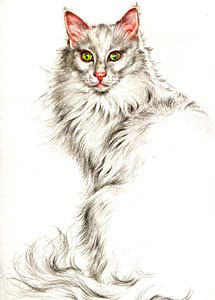 Painting with Colored Pencils, with Barbara Krans Jenkins