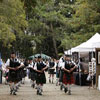 Art in the Redwoods Festival