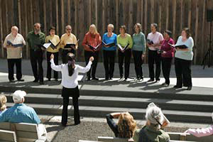 2008 Art in the Redwoods Festival