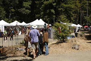 2008 Art in the Redwoods Festival