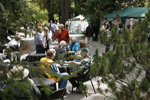 2008 Art in the Redwoods Festival