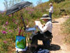 SRJC class: Landscape painting, with Judith Greenleaf