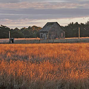 Rita Crane: Springs Ranch Barn at Sunset