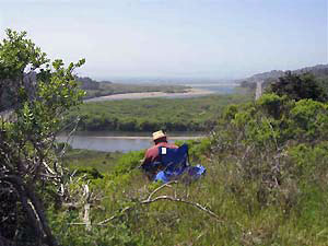 Plein Air Group: Bruce Jones