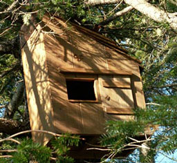 Goldie Pounds, Birdhouses