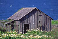 Richard Skidmore, Barn