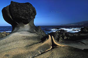 Neil and Susan Silverman: Salt Point