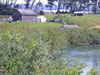 Garcia River bank at Stornetta Brothers Ranch - after restoration