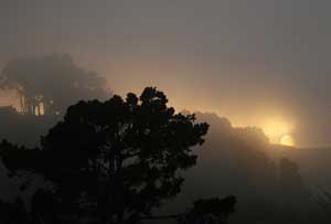 Barbara Pratt: Photography