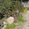 Gualala Arts Center Spring Cleaning