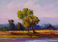 Joy of Alla Prima: Painting Landscapes in Nature