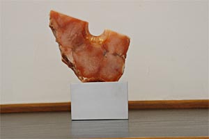 stone sculptures of CE and Bill Brown