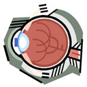 The Aging Eye