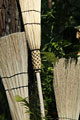 Broom Making