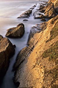 Scott Chieffo, Stornetta