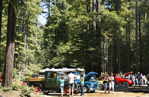 Gualala Arts Auto Show