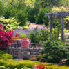 A Ladies & Gents Garden Luncheon