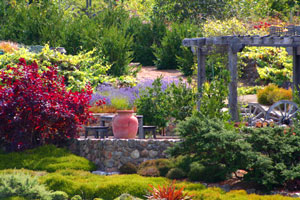 A Ladies & Gents Garden Luncheon