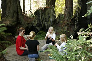 Summer Art Program for Youth