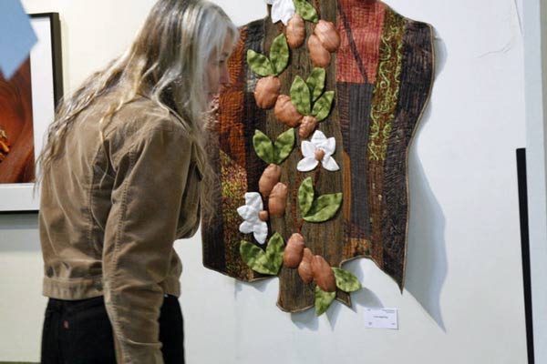 Art in the Redwoods Festival 2010