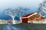Steve Gadol - Road to the Farm
