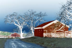 Steve Gadol - Road to the Farm