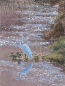 Tim Brody: Great White Heron