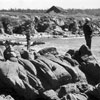 Sonoma Coast History