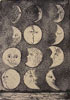 Bitch, Moan and Cry, by Arna Means