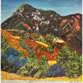 #42 Birch Bushes on St. Helena - Jack Stuppin
