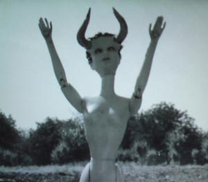 Dolled Up: Matthew Christopher