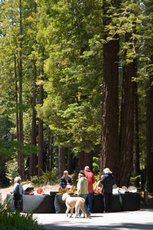 Fine Arts Fair, May, 2011