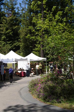 Fine Arts Fair, May, 2011