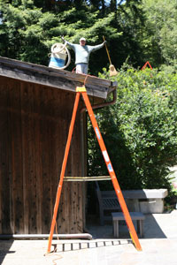 Gualala Arts Center Beautification Day