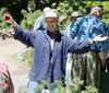 Gualala Arts Center Beautification Day