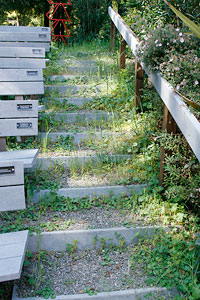 Gualala Arts Center Beautification Day