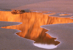 Sidney J.P. Hollister, Photography