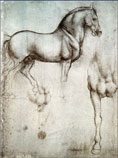 Drawing of a horse, by Leonardo da Vinci