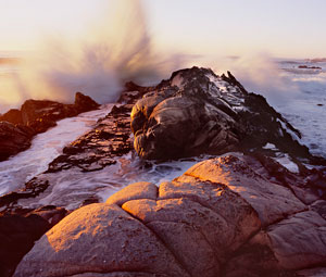 Marty Covington, photography