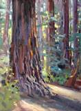 Paint the Forests
