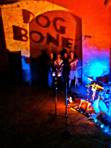 Dogbone